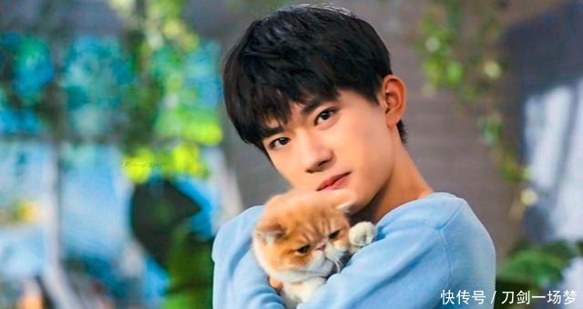 易烊千璽新綜藝定檔,預告中千璽狂擼貓,還叫貓咪“小漂亮”