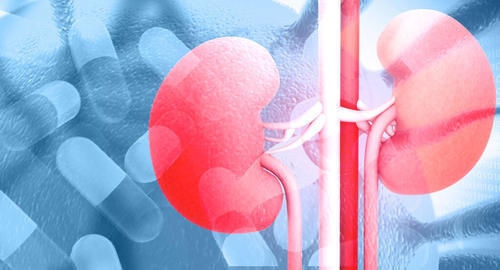 化验单|关于肾功能，体检化验单上的这些参考值，你读懂了吗？