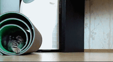 |搞笑动图:小家伙,躺着卖萌噶哈呢!