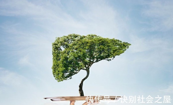 果酸|夏天已到!常吃这5种水果,能护肝排毒,增强身体免疫力