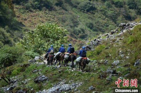  生活物资|四川大凉山“马背上的电力运维员”：无人区穿越7天走出大山