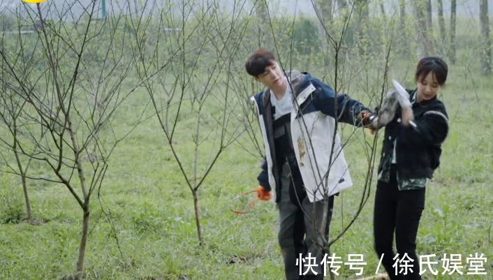 觀眾|緋聞男女何去何從,張藝興對楊紫稱呼三次轉(zhuǎn)變,觀眾嗑糖嗑瘋了