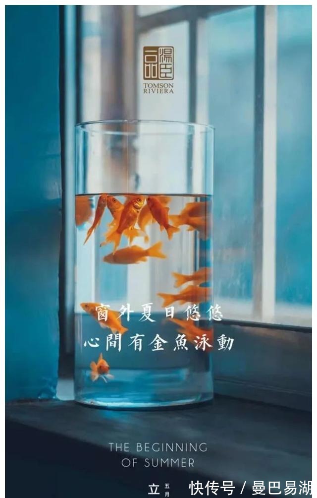 豪宅|“中国第一豪宅”汤臣一品，文案海报有多秀