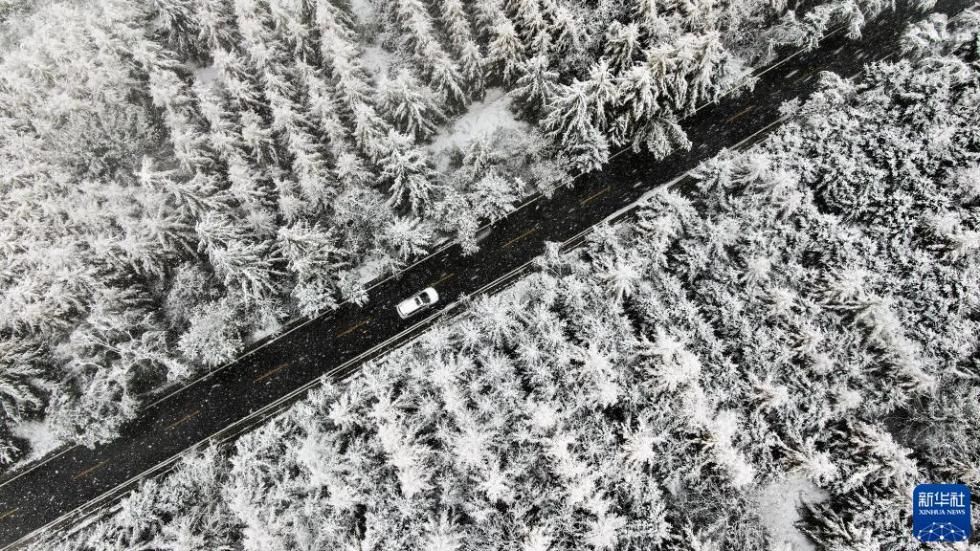 平凉市|雪落甘肃