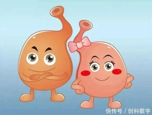 阿莫西林|幽门螺杆菌最怕什么不是大蒜,经常吃,胃慢慢好起来