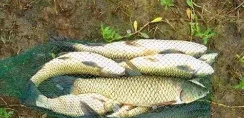 小鱼|钓鱼“奇”招数：双铅钓组，不怕刮风流水闹小鱼，野钓最佳钓法！