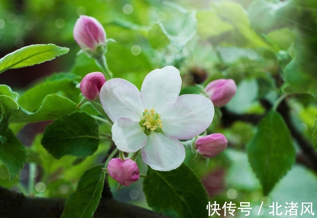 天蝎座|未来半个月,红鸾星动,桃花冒出新芽,爱情不断靠近的3大星座