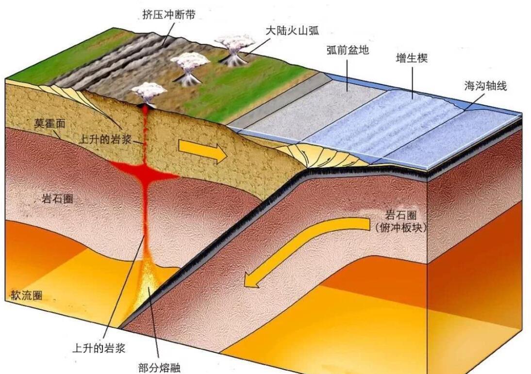 2021年来最强的!美国8.2级大地震,为何人类不信动物预测地震?