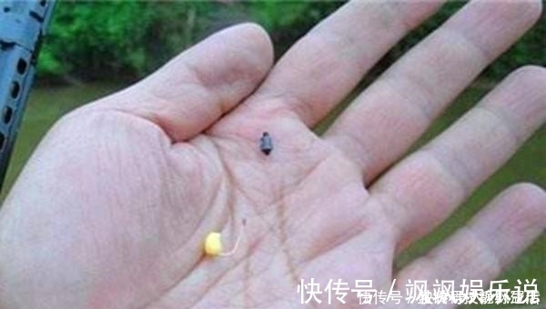 七星漂钓组的搭配和调漂技巧,野钓鲫鱼最靠谱钓法,钓鱼人必学