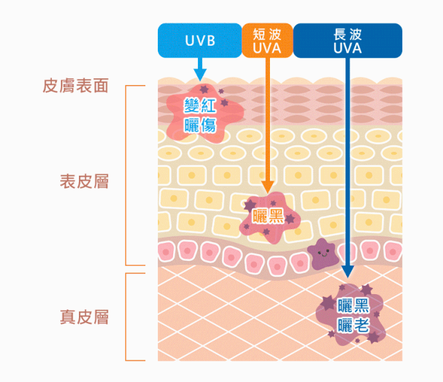 #安心变美课堂##我的安心变美推荐# 了解一下防晒的入门级知识