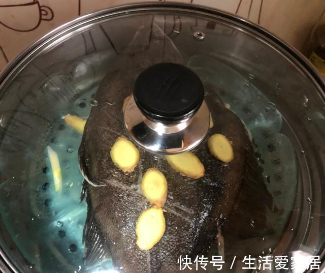 多宝鱼|清蒸多宝鱼,肉质鲜嫩,一点都不腥