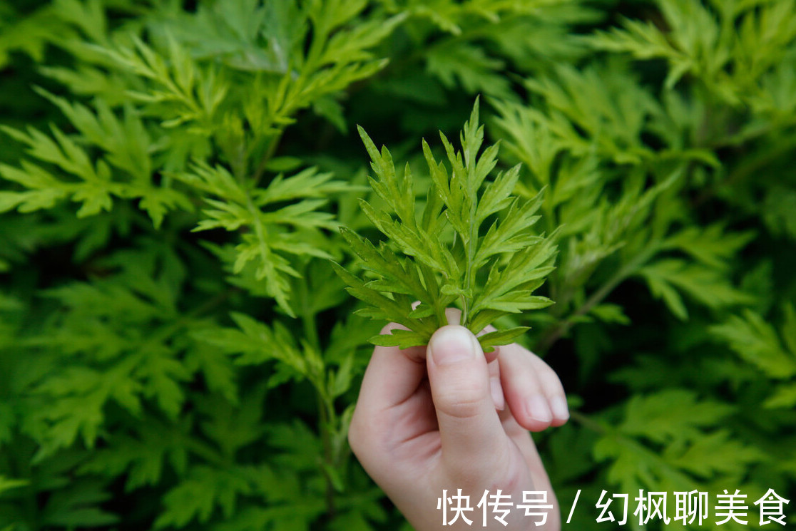 松软|此种野菜路边很常见，摘回家蒸一蒸，变身网红美食，松软又清香