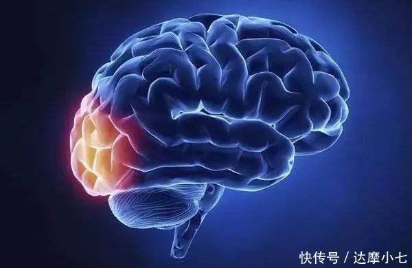 烯鲨酸|脑梗患者与日俱增?医生:与4事脱不了关系,务必警惕,远离脑梗