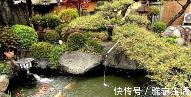 鱼池|有庭院的人都开始造景观鱼池了美哭了,回家也要挖一个