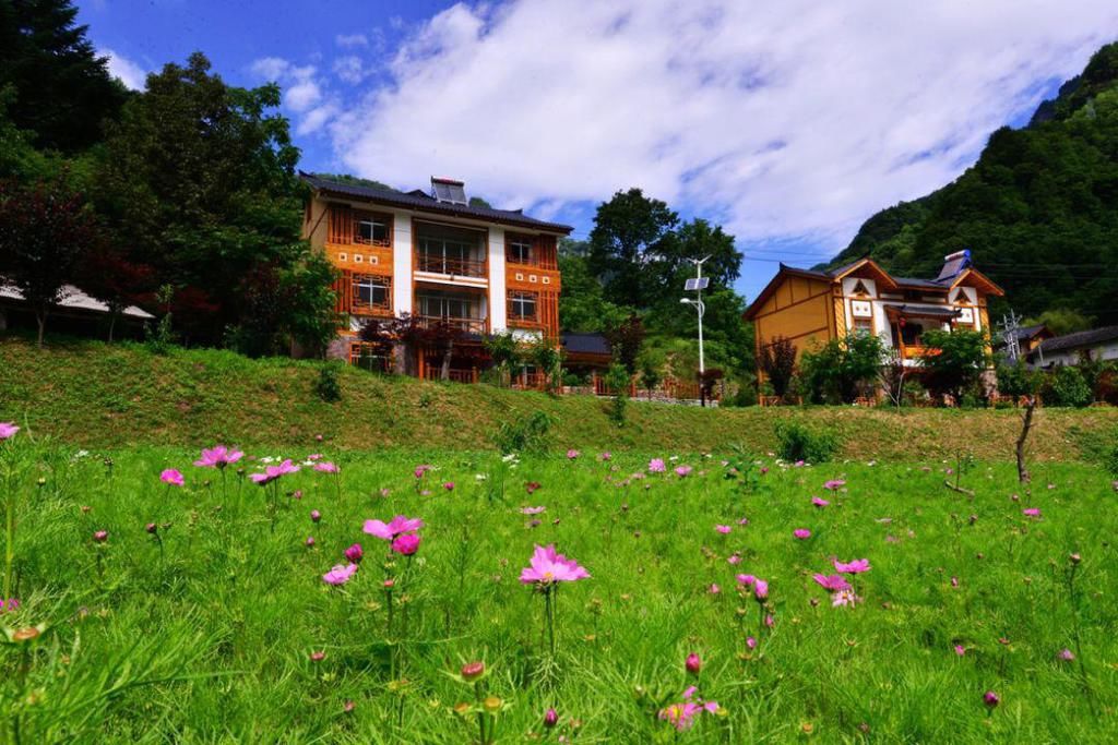 省会|咸宁·通山县大畈镇、恩施州·建始县花坪镇