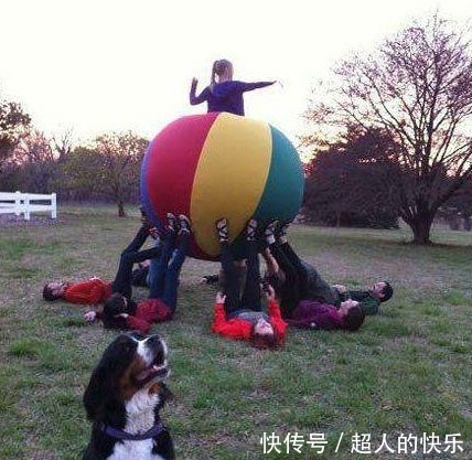 |笑话:难怪我多年数学不好,都是这个特征拖我后腿