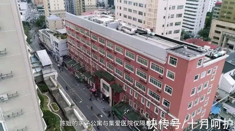 三代试管费用（上海惊现求子公寓：女子连续做试管婴儿，肚子布满针孔！当妈真难）