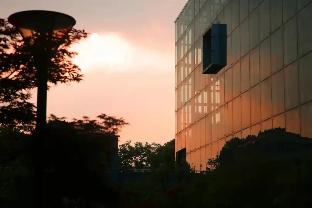 浙江水利水电学院|钱塘大学城秋景，美出圈！