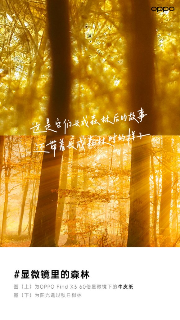 自降咖位跪舔流量鲜肉？又一奢侈品牌跌落神坛？