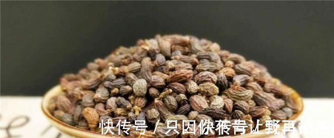 腰膝酸软|女贞子泡水喝可以治疗什么疗效到底怎么样今天来告诉各位答案