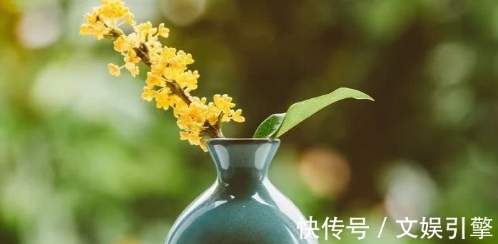 少壮|初读不解诗中意，再读已是诗中人，最怕忽然就读懂了这些诗词