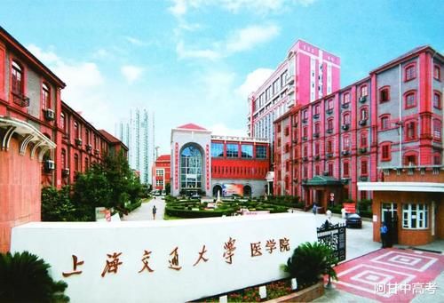 中医药大学|软科2020年中国医学类大学40强：协和医学院夺冠，中医药院校靠后