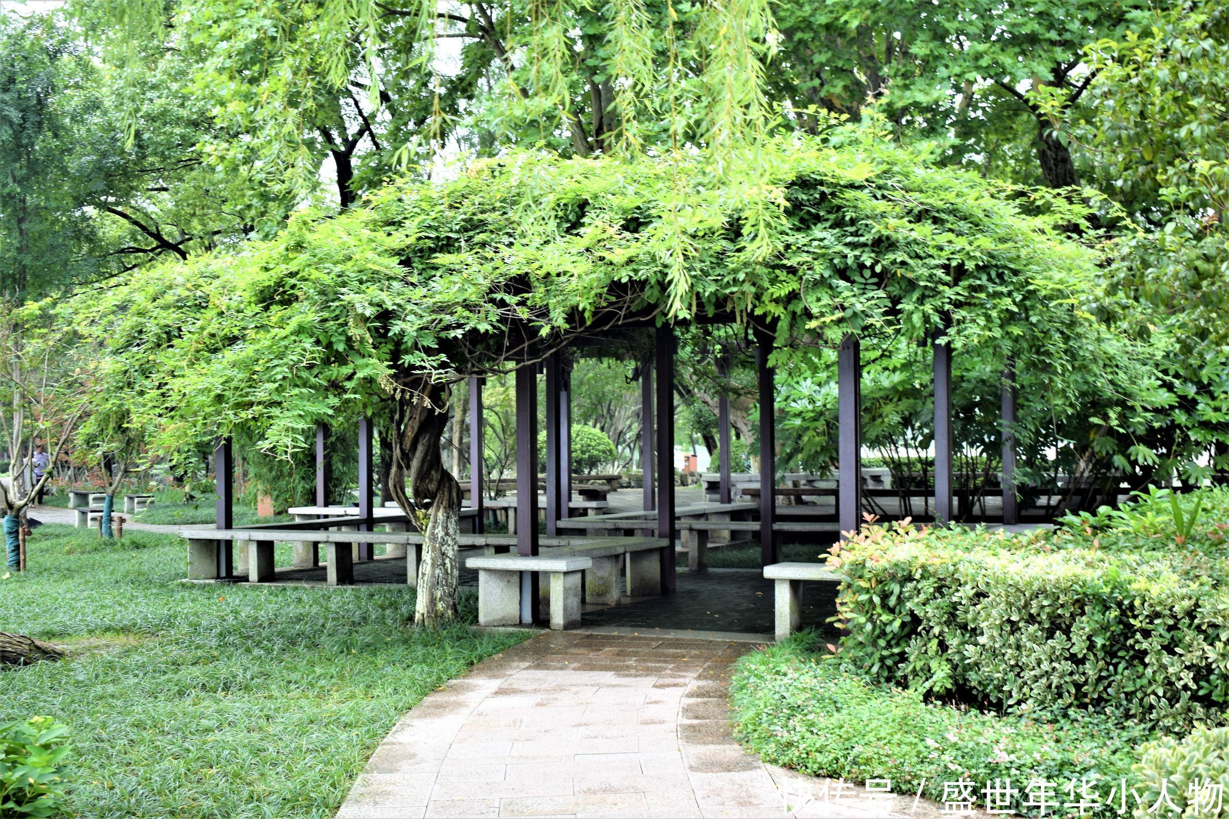 游记“仓圣祠”,了解传说中文字的创造者仓颉的故事