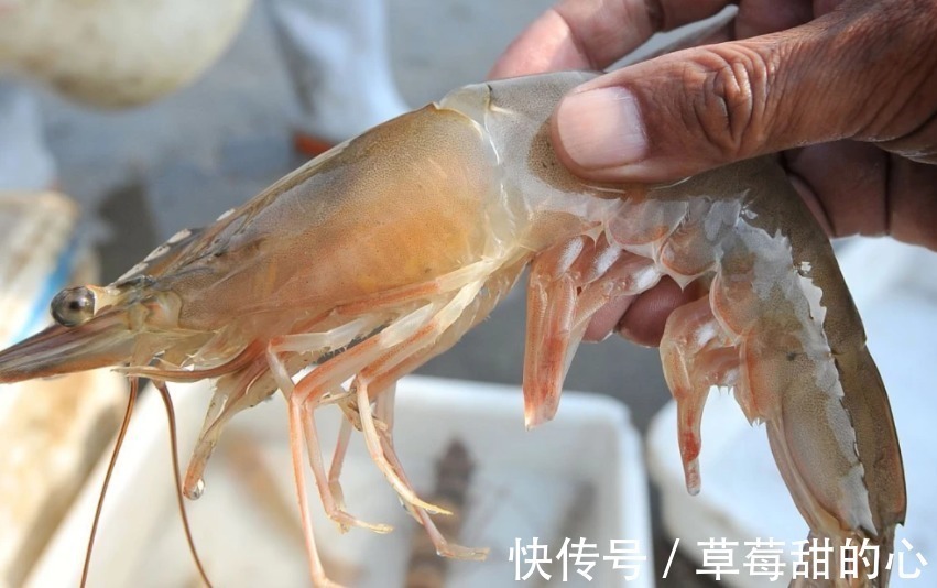 买大虾时，内行人从不买这3种，碰到扭头就走，老板自己从不吃
