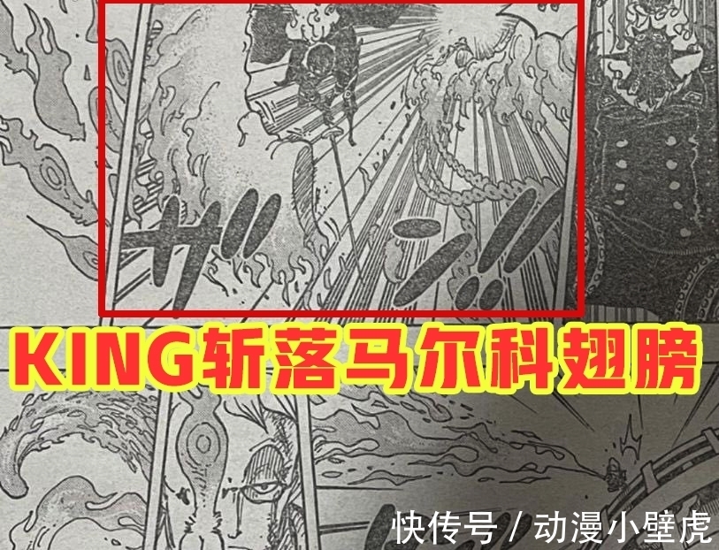 兔子|海贼王1006话:小马哥被烬斩落翅膀,豹五郎释放“生命归还”