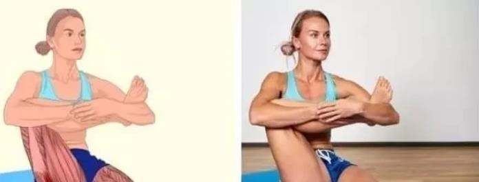 肌肉|全身拉筋3D图解，一步到位，在家也能强身健体