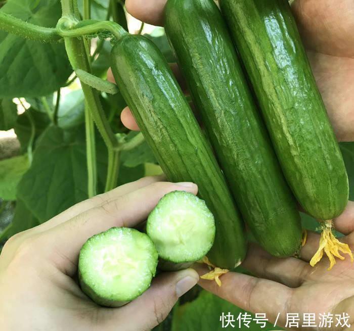 常吃|40个关于养生的小建议,请收藏