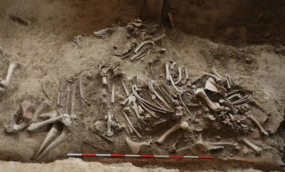 热水墓群|“九层妖塔”原型古墓惊现:1000余件文物,500余件金银玉器,87匹汗血宝马