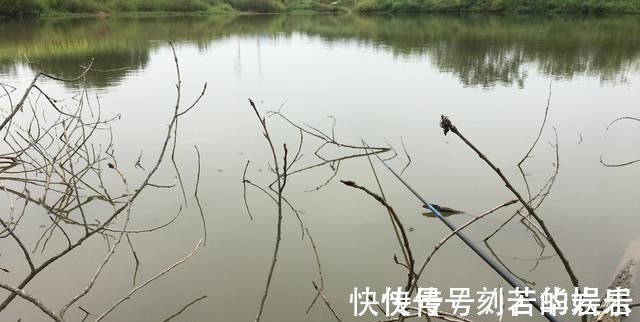 鱼类|没有水草就不能钓鱼了吗根据这4点来找鱼,下竿之处即咬钩