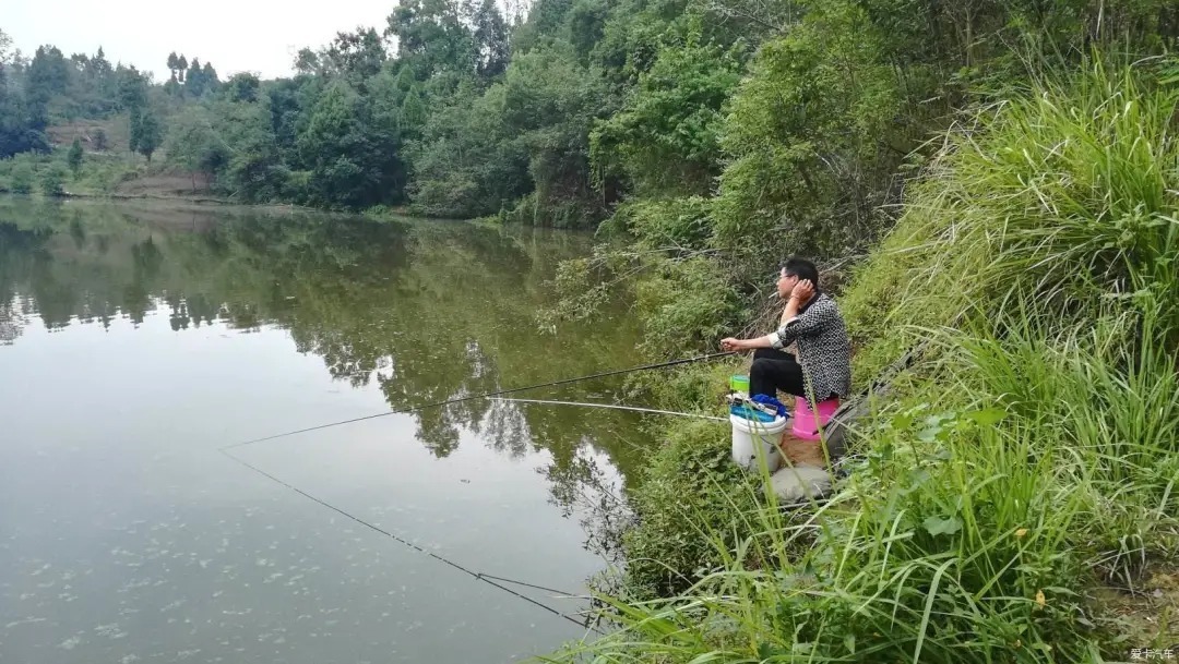 钓位|钓鱼：陌生水域野钓，既想不空军也不愿意多花时间找鱼窝，不妨这样试试