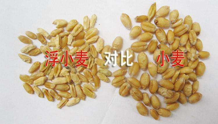 脏躁|两味小药，一温一凉，专治更年期失眠恍惚！送给天下女人的关爱