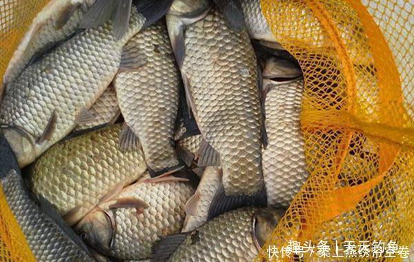 冬季钓鱼技巧风向与钓鱼的关系,冬季什么风向鱼最好钓