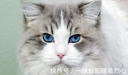 |内涵搞笑:骚年,你实在是太高估自己的实力了,这一下打击可不轻吧,哈哈哈哈