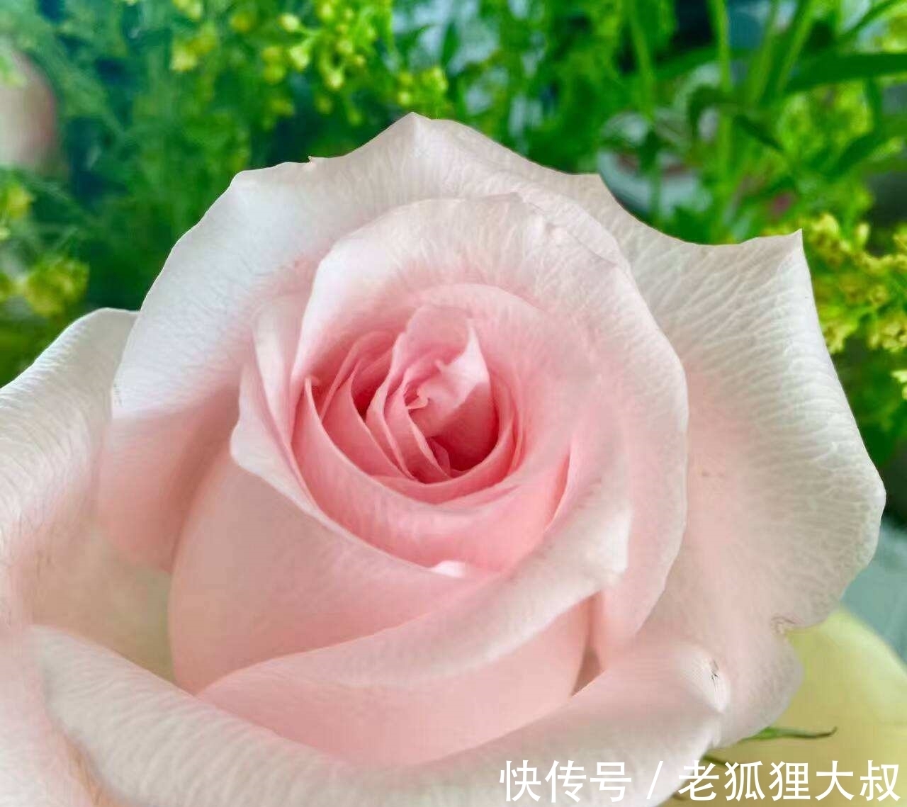 老婆|7月30号开始，这三大生肖女命犯桃花，兄弟请把你的老婆看好