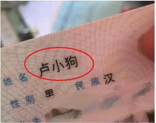 葫芦娃|五胞胎姓“周”,登记出生证明时看到名字医生笑翻:你没开玩笑吧