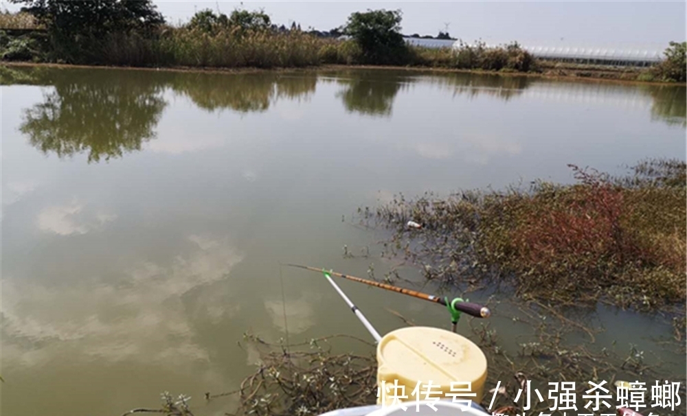 冬季鲫鱼开始扎堆,常规窝料难以奏效,用这种窝料,鱼会越钓越多