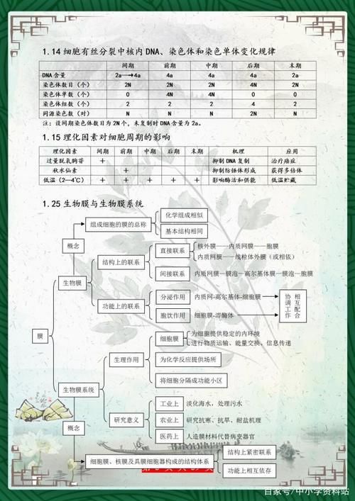 高考729分美女学霸：把高中生物“浓缩”成39张图，3年最低不下95