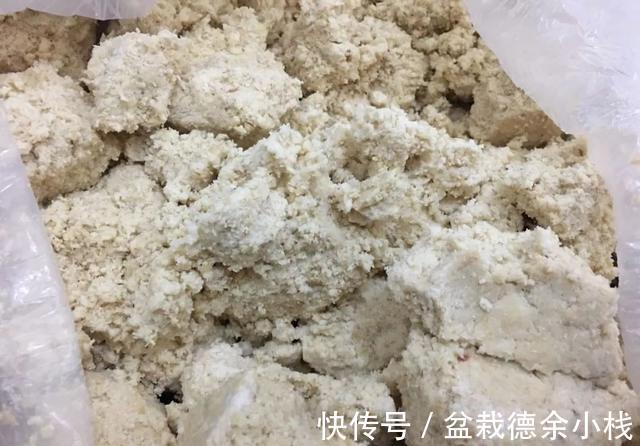 玉米|饵料不止腥和香,野钓大鱼臭味才是杀手锏,猾鲤也乖乖咬钩