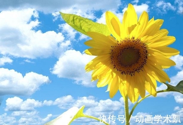 新局面|下礼拜,八方来喜,事业光明,邂逅旧爱,重启幸福,迎来新局面