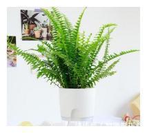 装修|她家装修看似简单，却赢在了细节上，全屋实用又美观，晒晒！