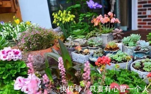 自制肥料难不难?有着20年经验的养花人:懂“这2样”就够了