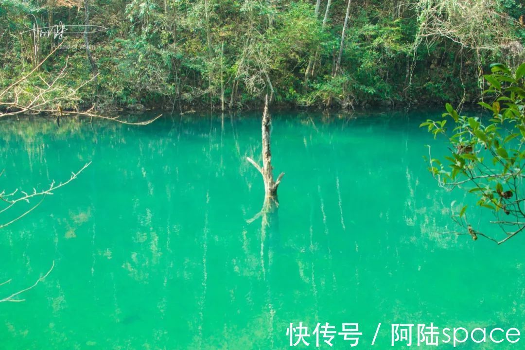 游步道|千佛山景区不仅峡谷清幽，还“水绿如蓝”，颇有点小九寨的意境