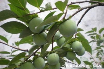 强推五本精品玄幻粮草赶紧私藏起来当作书荒储备