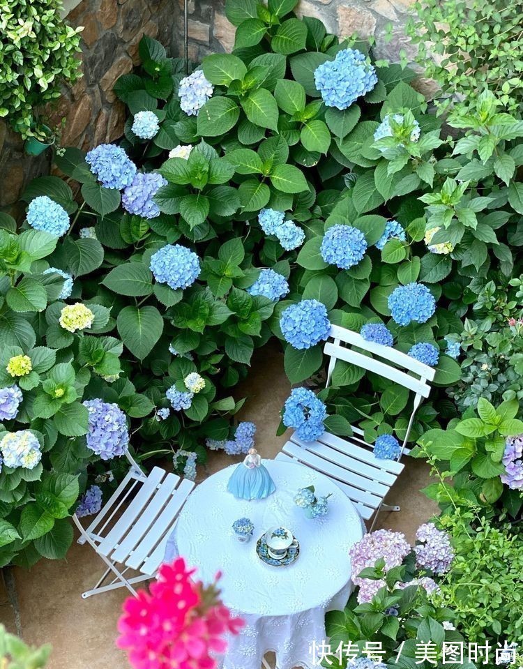 庭院改造:50㎡的下沉式庭院造花园,有地我也建一个,太好看了!