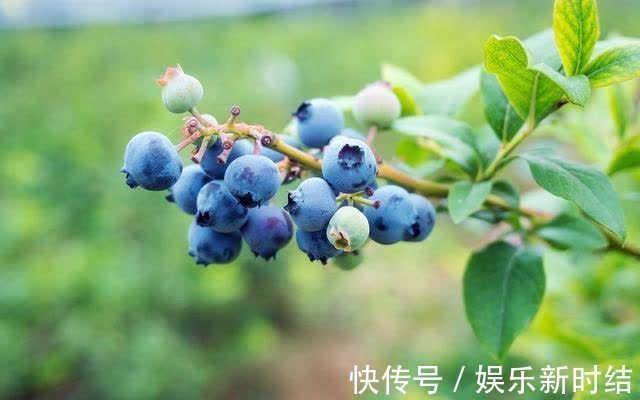 预防贫血|聪明女性多吃3种食物,营养丰富,延缓衰老,谁吃谁受益