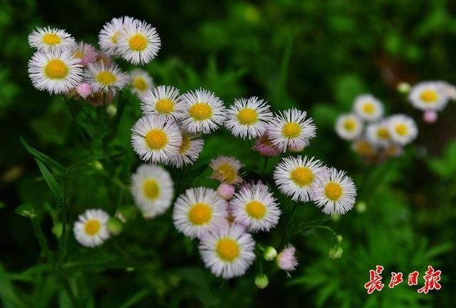 阴雨连绵，四招除“春湿”